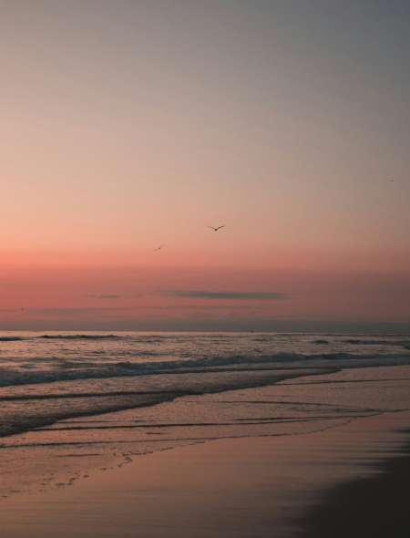 Txt_Tarot_therapie_01