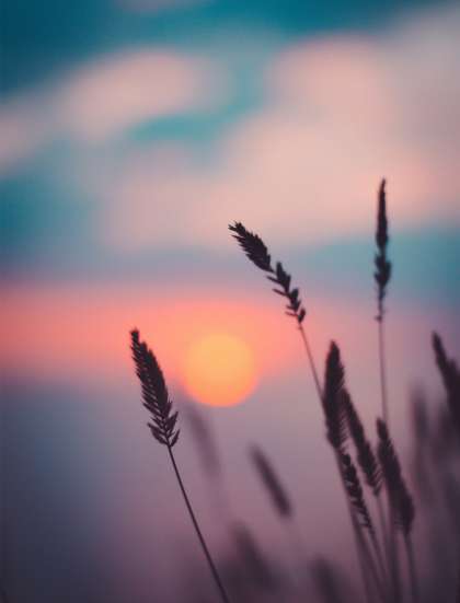 Txt_Tarot_therapie_02